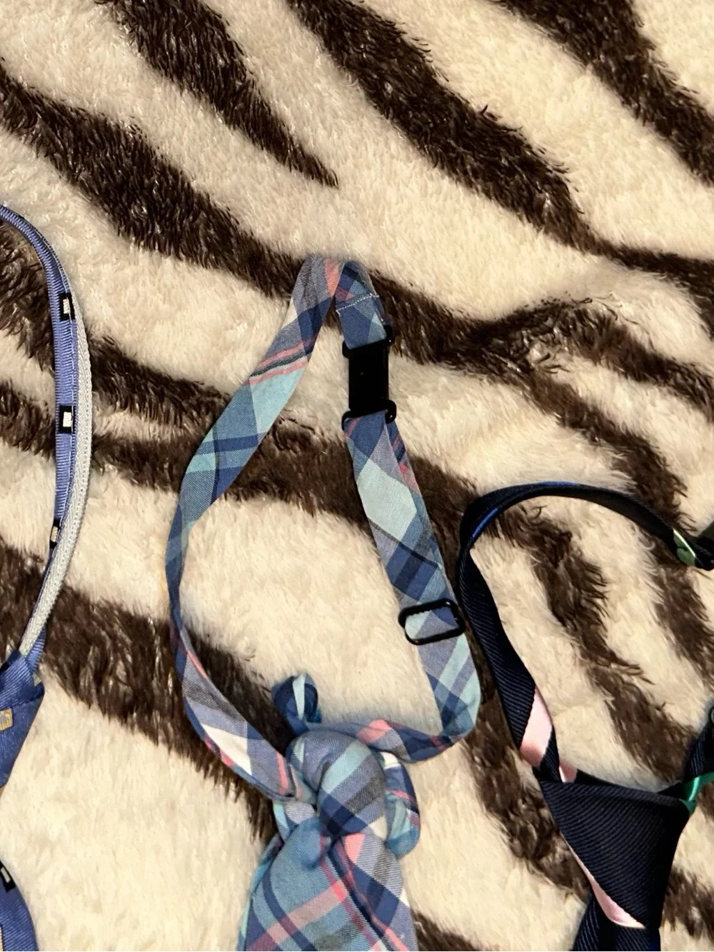 Little Boys Assorted Blue and Red Neck Ties